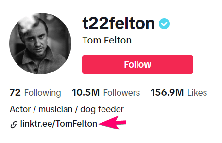 linktree on tiktok